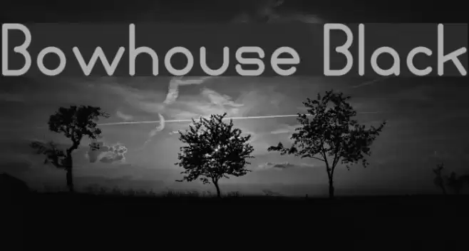 Bowhouse Black Font examples