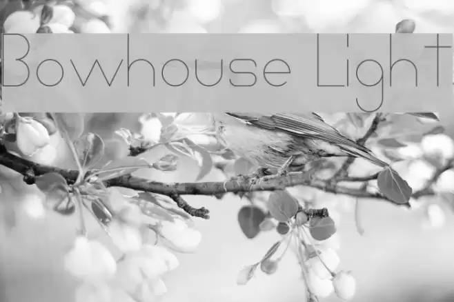 Bowhouse Light Font examples
