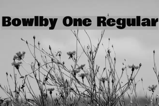 Bowlby One Regular Font examples