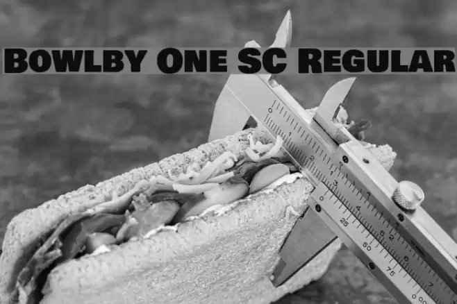 Bowlby One SC Regular Font examples