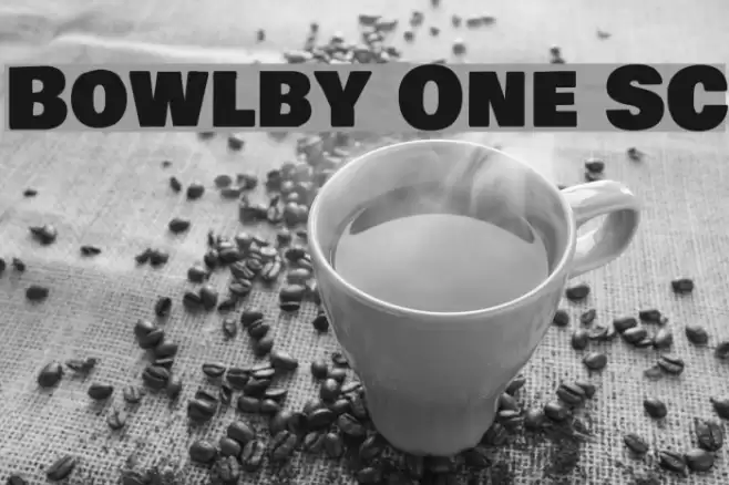 Bowlby One SC Font examples