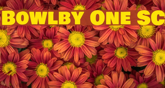 Bowlby One SC फ़ॉन्ट examples