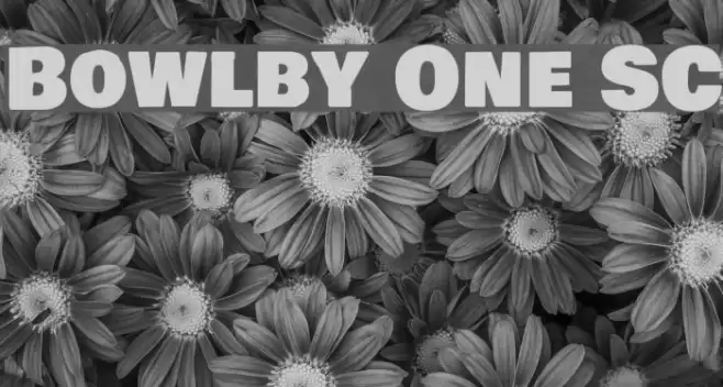 Bowlby One SC Font examples