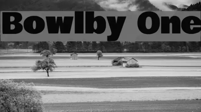 Bowlby One Font examples