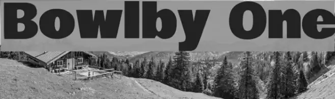 Bowlby One Font examples