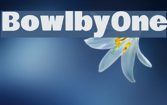 BowlbyOne Font examples