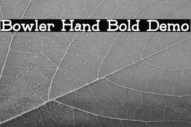Bowler Hand Bold Demo Font examples