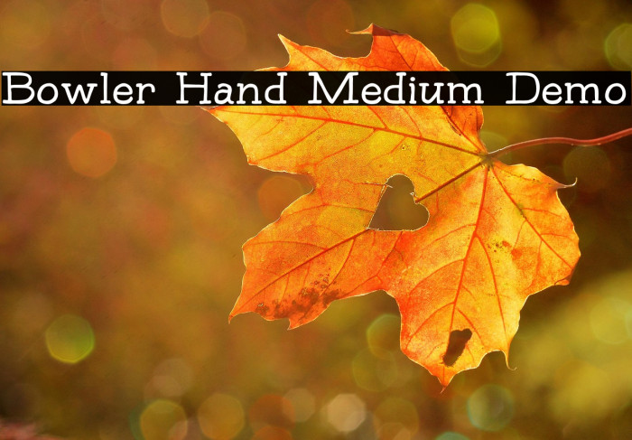 Bowler Hand Medium Demo Example 2