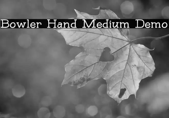 Bowler Hand Medium Demo Font examples