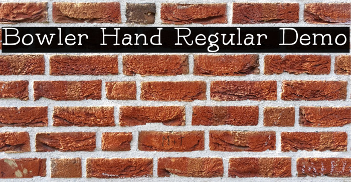 Bowler Hand Regular Demo Example 1