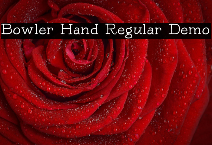 Bowler Hand Regular Demo Example 2