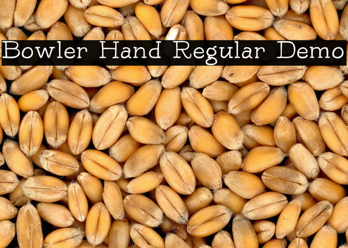 Bowler Hand Regular Demo Example 3