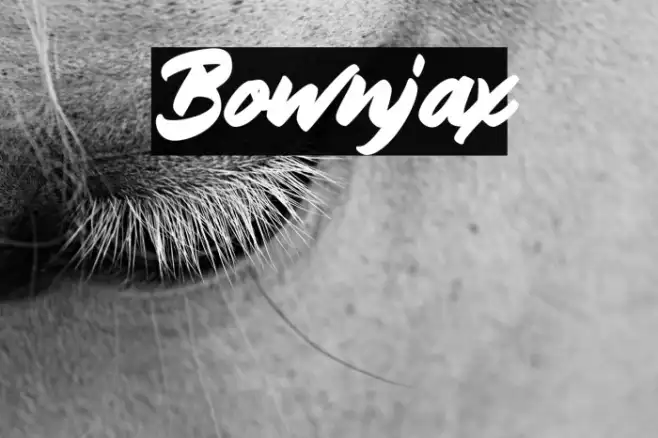 Bownjax Example 2