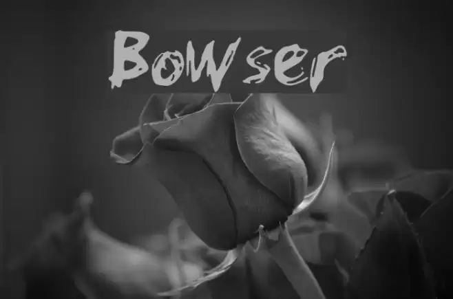Bowser Шрифта examples