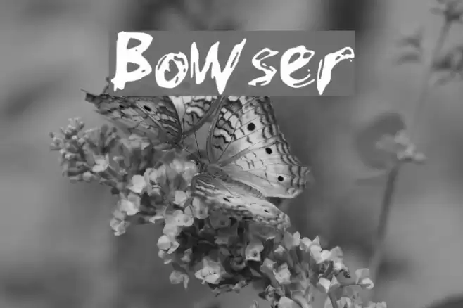 Bowser Шрифта examples