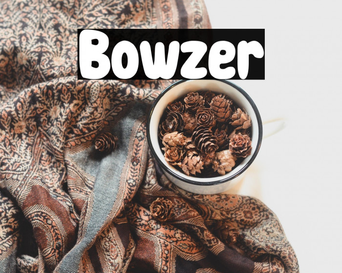 Bowzer Example 1