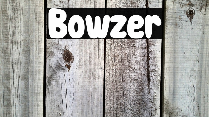 Bowzer Example 2