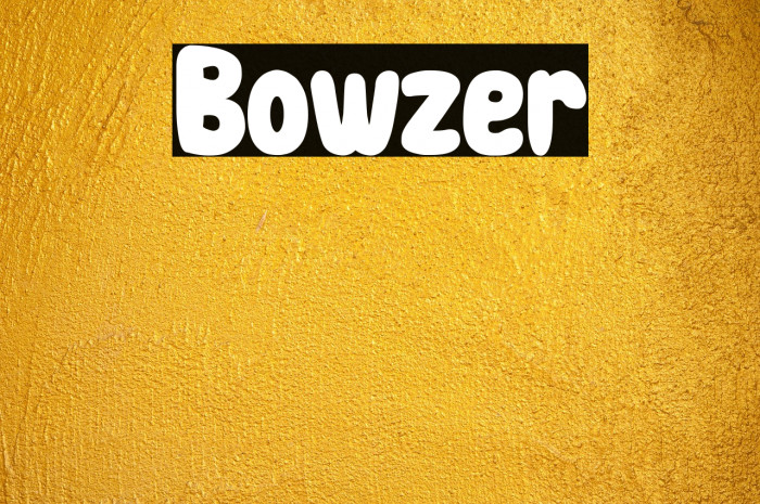 Bowzer Example 3