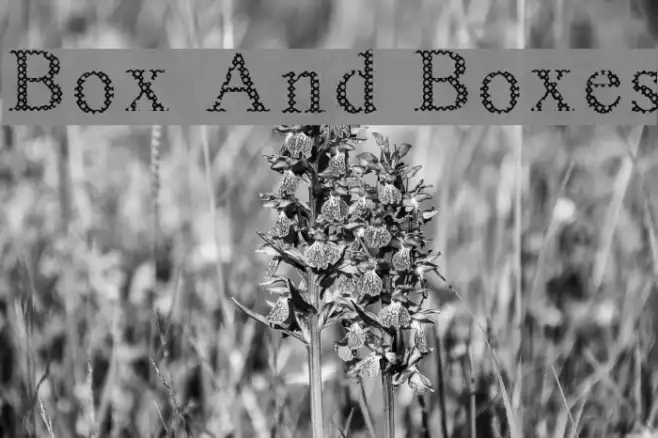 Box And Boxes Example 2