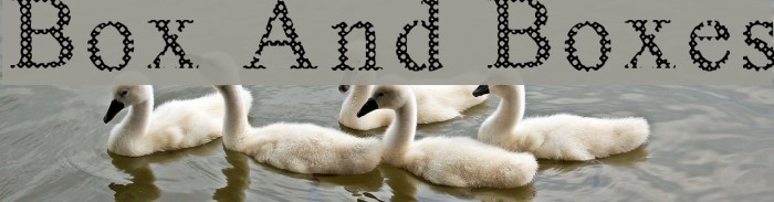 Box And Boxes Font examples