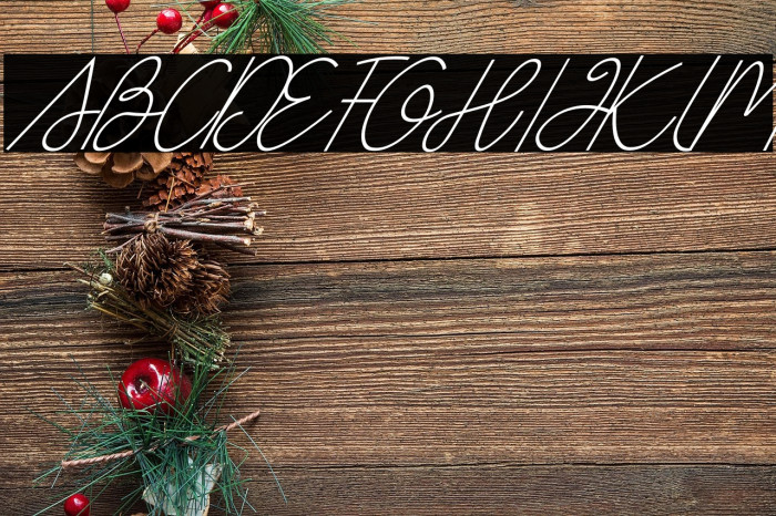 Box Spagethy Italic Example 2