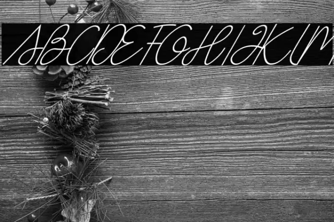 Box Spagethy Italic Font examples