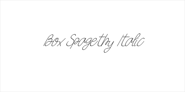 Box Spagethy Italic Logo