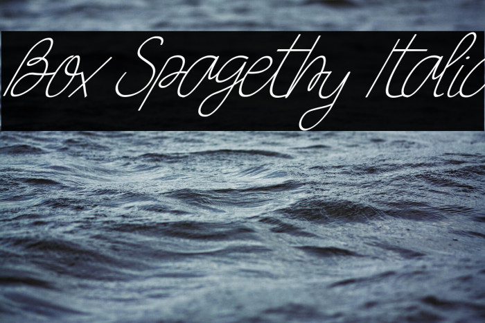 Box Spagethy Italic Example 2