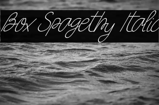 Box Spagethy Italic Font examples
