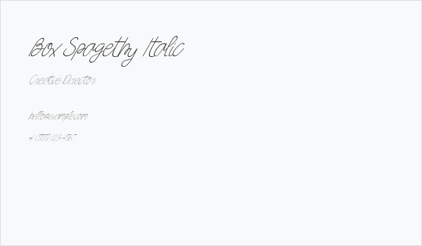 Box Spagethy Italic Business Card