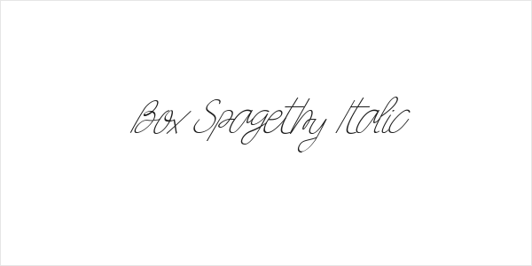 Box Spagethy Italic Logo