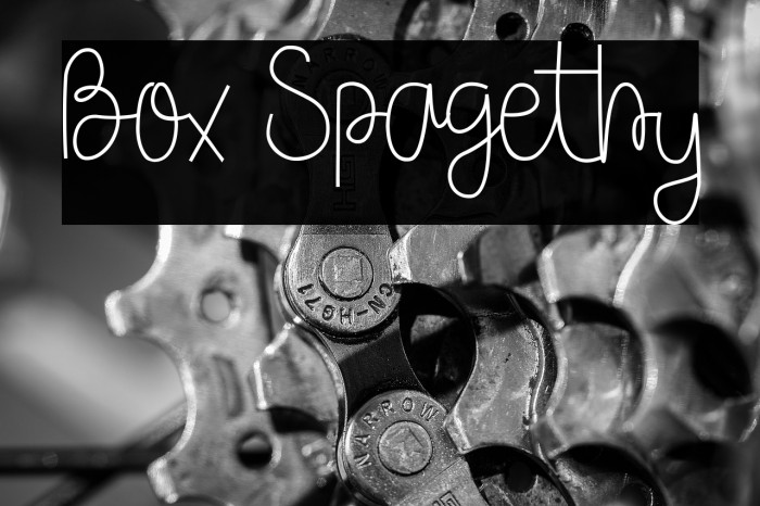 Box Spagethy Example 2