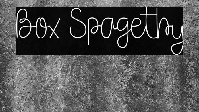 Box Spagethy Example 3