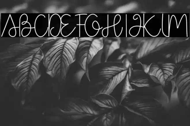 Box Spagethy Font examples