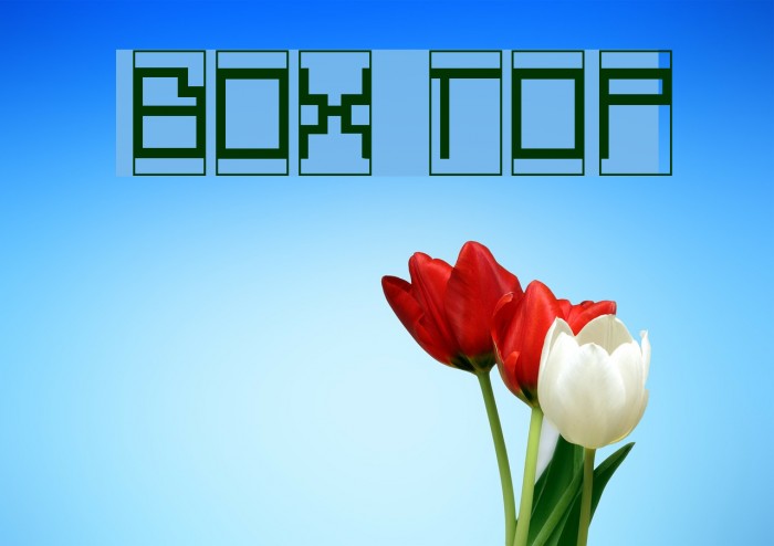 Box Top Font examples