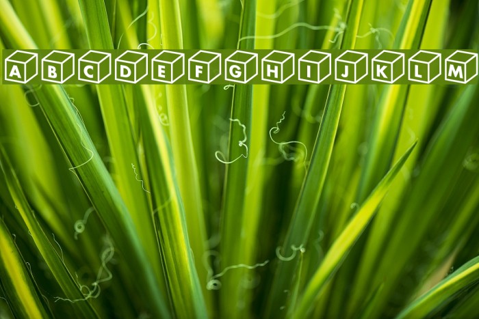 Box alphabe Example 1