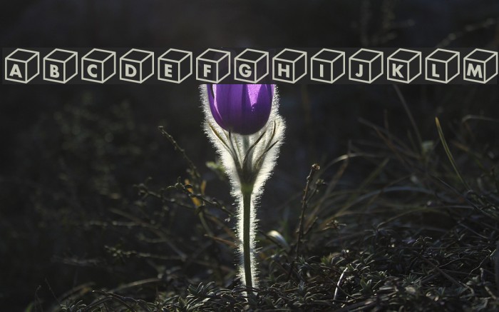 Box alphabe Example 2