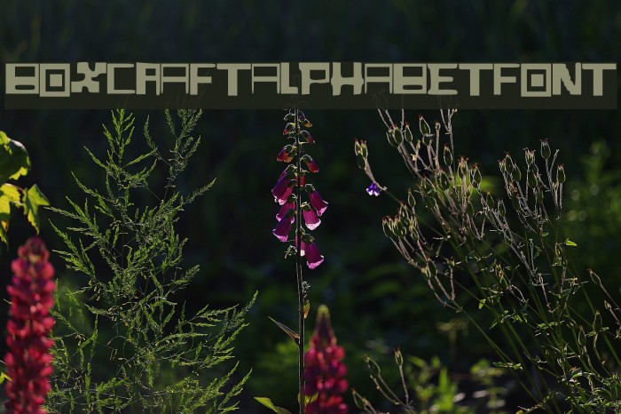 BoxCraft_Alphabet_Font Font examples