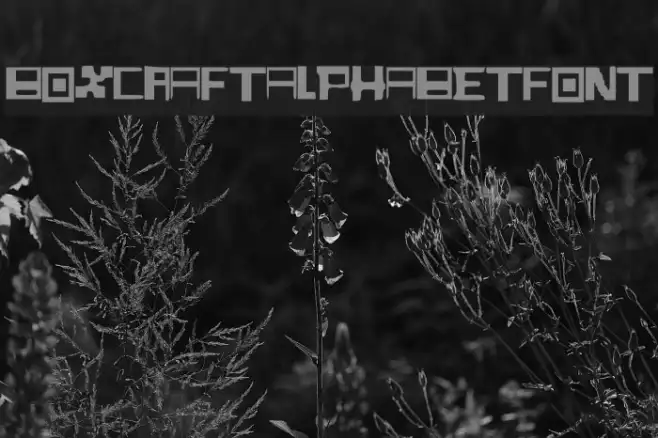 BoxCraft_Alphabet_Font Example 2