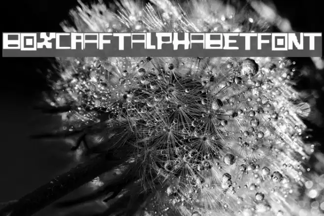 BoxCraft_Alphabet_Font Example 3