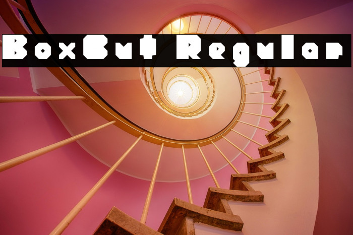 BoxCut Regular Example 1