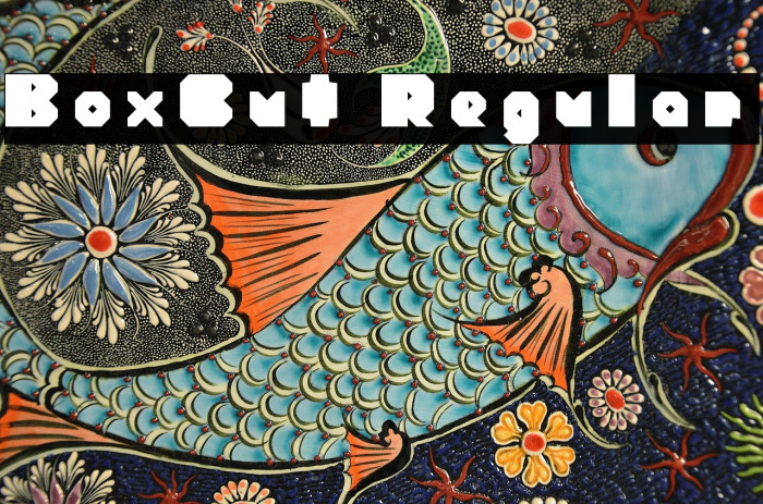 BoxCut Regular Example 3