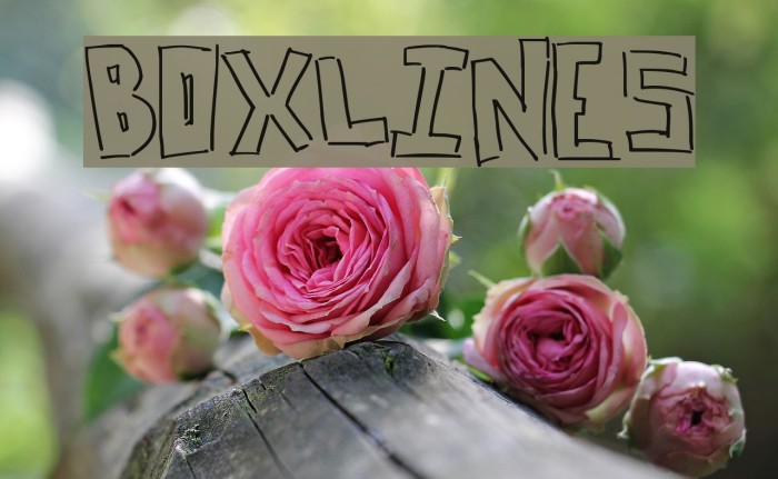 BoxLines Font examples