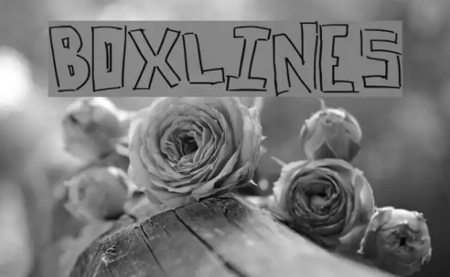 BoxLines Example 2