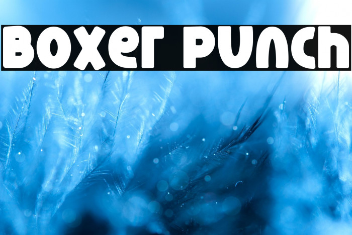 Boxer Punch Example 1