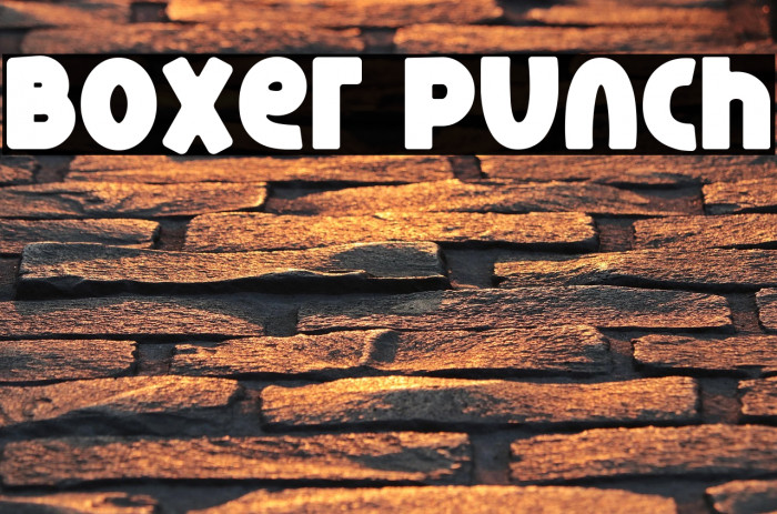 Boxer Punch Example 2