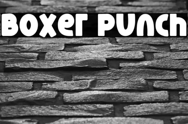 Boxer Punch Example 2