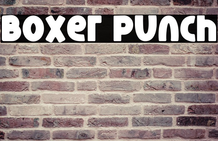 Boxer Punch Example 3