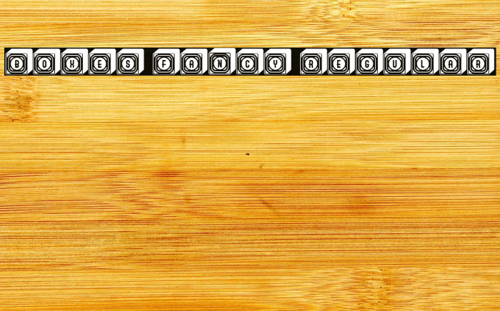 Boxes Fancy Regular Font examples