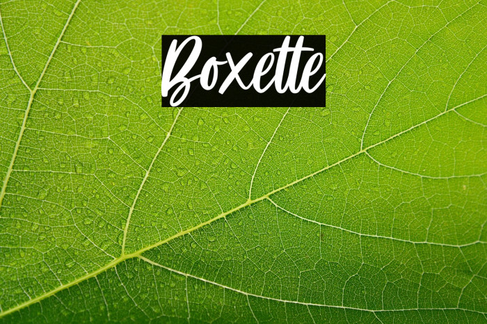 Boxette Example 1